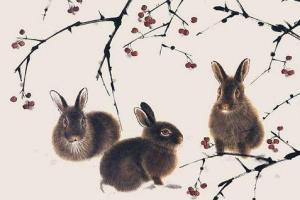 问:1951年生的属兔人是什么命 答:1951年为农历辛卯生肖属兔年,五行纳