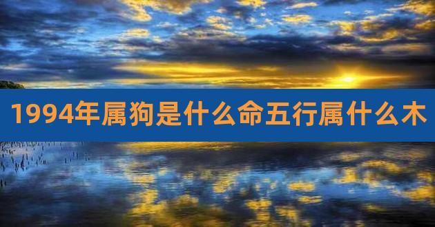 1994年属狗是什么命五行属什么木,1994年属狗人是木命还是火命