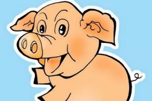 1959年属猪的是什么命1959属猪的人2016年运程大全及破解