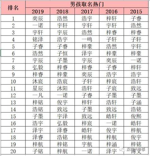 据数据显示,2023年在深圳办理出生登记的人口中,家长为男孩子取名为