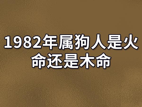 1982年属狗人是火命还是木命