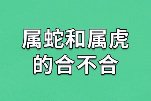 属蛇跟属虎的相配吗(蛇跟虎适合做夫妻吗)