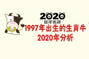 1997年出生的生肖牛2020年分析