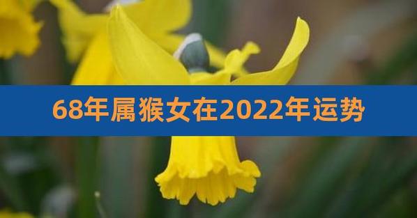 68年属猴女在2023年运势,女属猴今年运势与财运