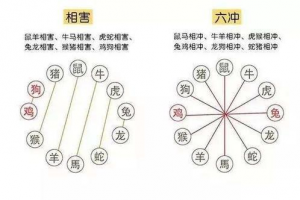 生肖不和可以化解么(生肖不合能破解吗)