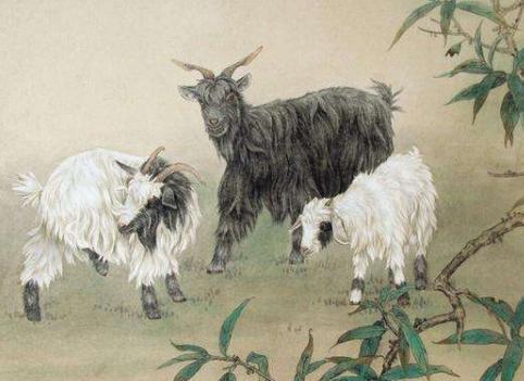 67年生肖羊的寿命是真的吗?