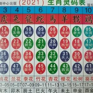 2023年十二生肖l表六合彩生肖表卡六合宝典正版对照表波色卡排码