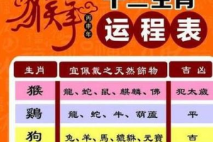 属兔阳历九月运势(属兔人九月份的运势)