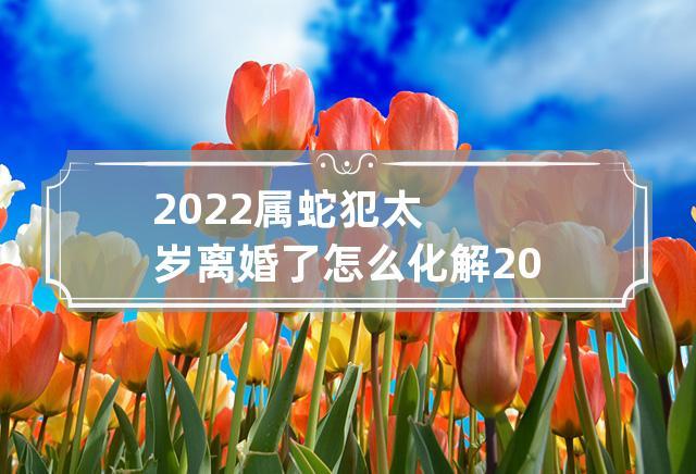 2023属蛇犯太岁离婚了怎么化解 2023年属蛇犯太岁