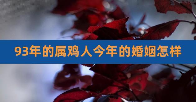 93年的属鸡人今年的婚姻怎样,93年属鸡2023年婚姻最终归宿