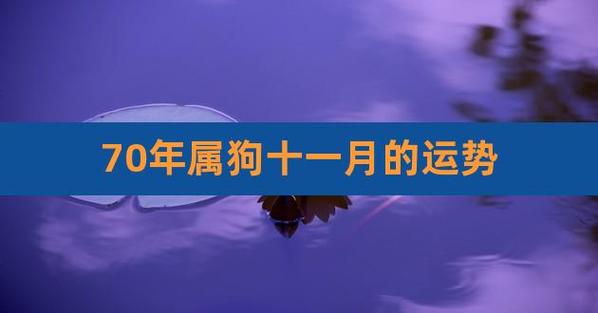 70年属狗十一月的运势,70年属狗53岁有运气好吗