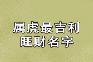 属虎的微信名字大全(属虎的昵称大全)