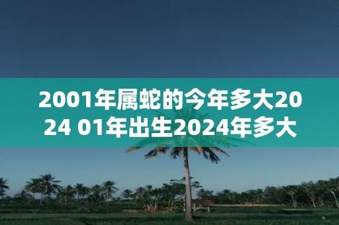 2001年属蛇的今年多大2024 01年出生2024年多大年龄