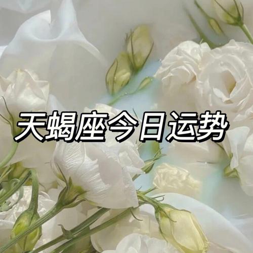 71天蝎座今日运势