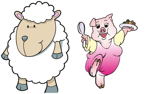 属羊男和属猪女配吗?
