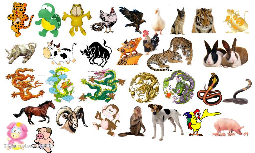 中国生肖动物词汇的象征含义及其翻译-学路网-学习路上 有我相伴