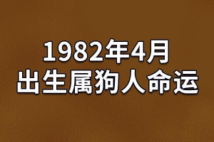 属狗人出生月命运(属狗出生月命运运程)