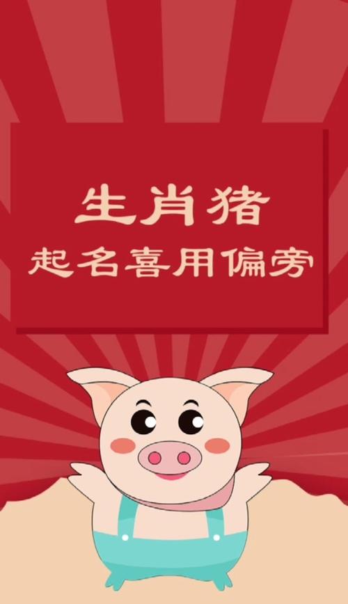 生肖属猪的人起名用什么偏旁字 启萌星