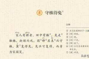 守株待兔的寓意守株待兔的寓意是什么