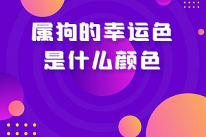 94年属狗幸运色(94年属狗终身幸运色)