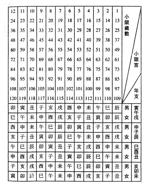 (三)安星简表 下 安星法 紫微斗数