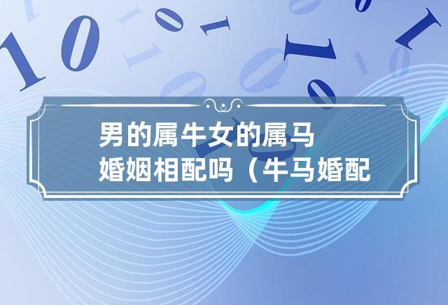 男的属牛女的属马婚姻相配吗(牛马婚配建议分析)