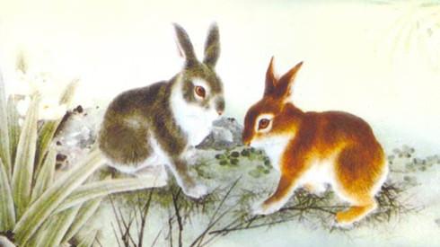 生肖兔的人生观是什么样的