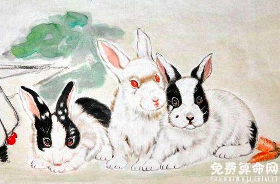 属兔和什么属相配比较好与兔白头偕老的生肖有哪些
