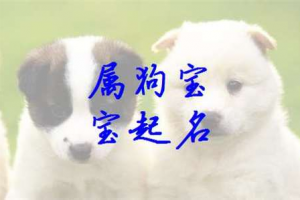 属狗的名字带什么字好(属狗取名带什么字好)