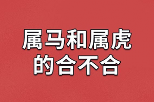 属马跟属虎相配吗 属马的和属虎相最配吗