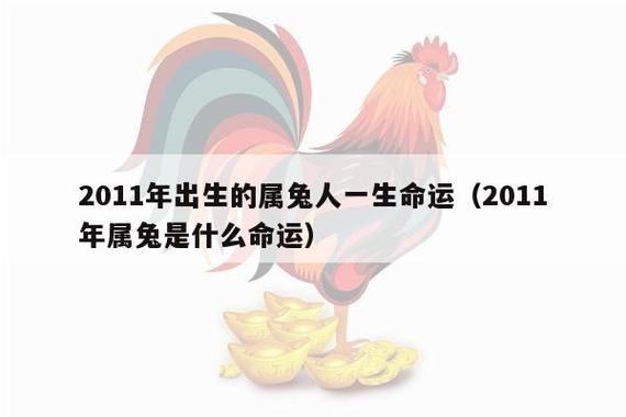 2023年出生的属兔人一生命运(2023年属兔是什么命运)_十二生肖网